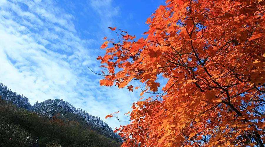 &#20048;&#40060;&#23448;&#26041;&#31471;&#32593;&#31449;&#30331;&#24405;&#20837;&#21475;&#45;&#20048;&#40060;&#108;&#101;&#121;&#117;&#40;&#20013;&#22269;&#41;