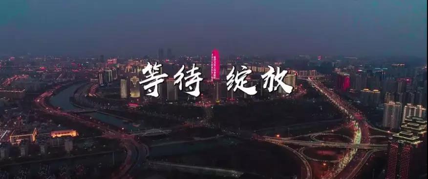 &#20048;&#40060;&#23448;&#26041;&#31471;&#32593;&#31449;&#30331;&#24405;&#20837;&#21475;&#45;&#20048;&#40060;&#108;&#101;&#121;&#117;&#40;&#20013;&#22269;&#41;